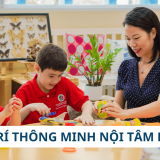 trí thông minh nội tâm là gì
