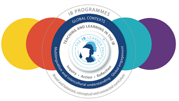 What is IB program?