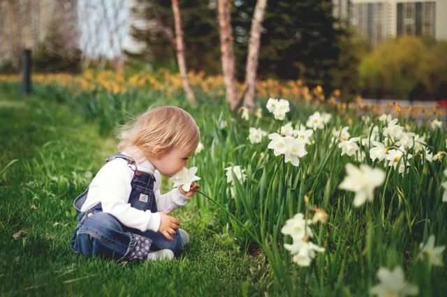 áp dụng phương pháp Steiner thông qua các hoạt động vui chơi