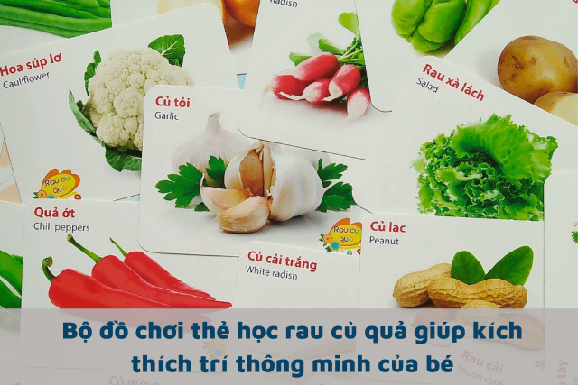 Bộ đồ chơi thẻ học thông minh